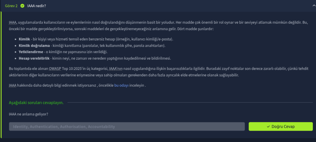 tryhackme owasp top 1