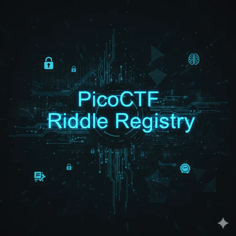 pico ctf riddle registry nasıl cozulur