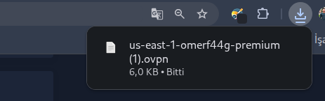 tryhackme premium vpn baglantisi 4